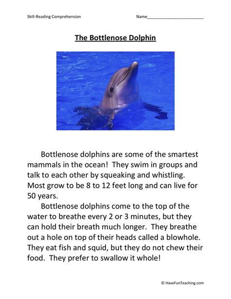 Dolphin Reading Comprehension Printables